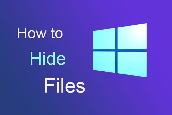 hide file